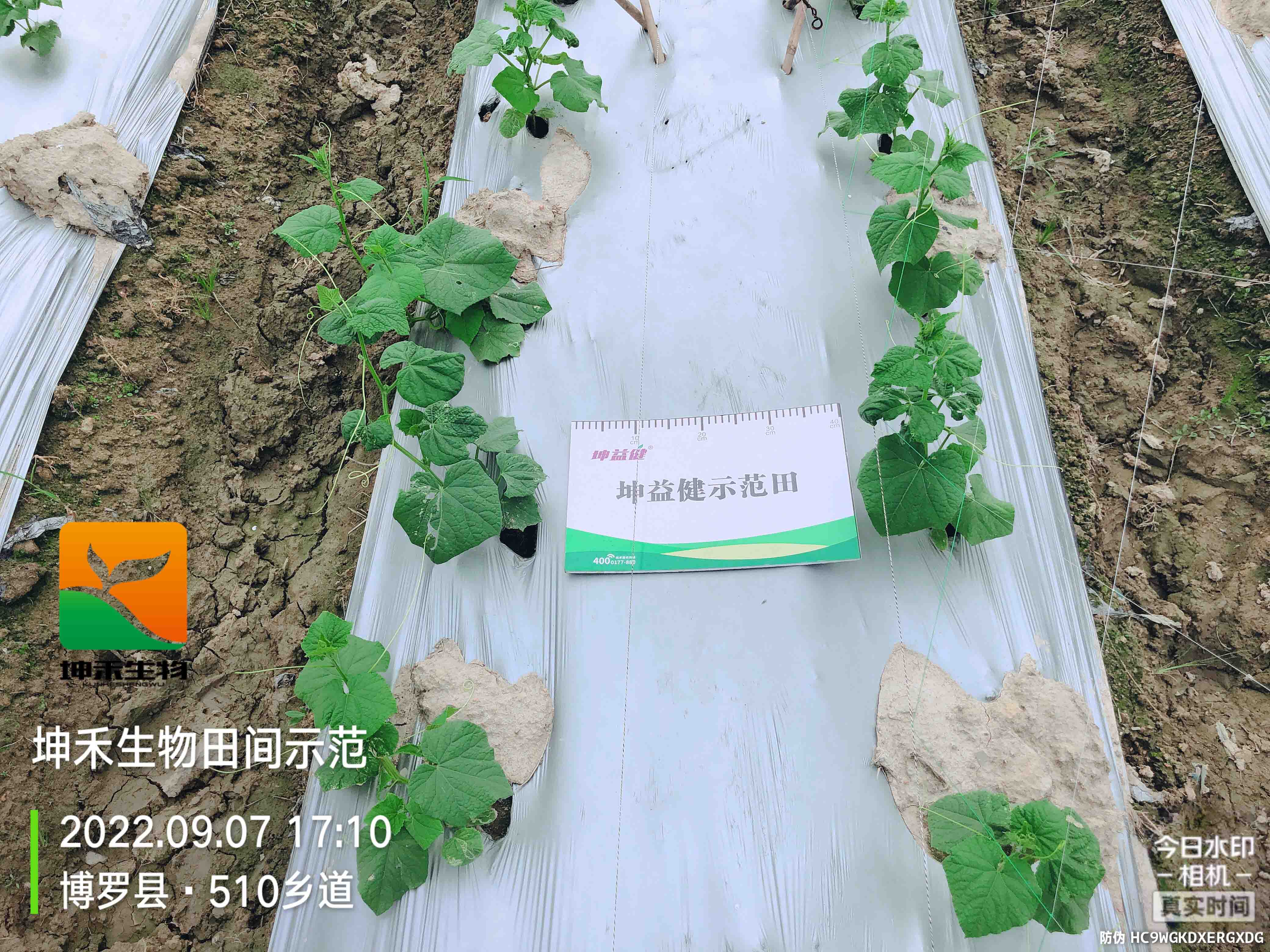 1664507704337317.jpg 微信圖片_202209150949023yasuo.jpg