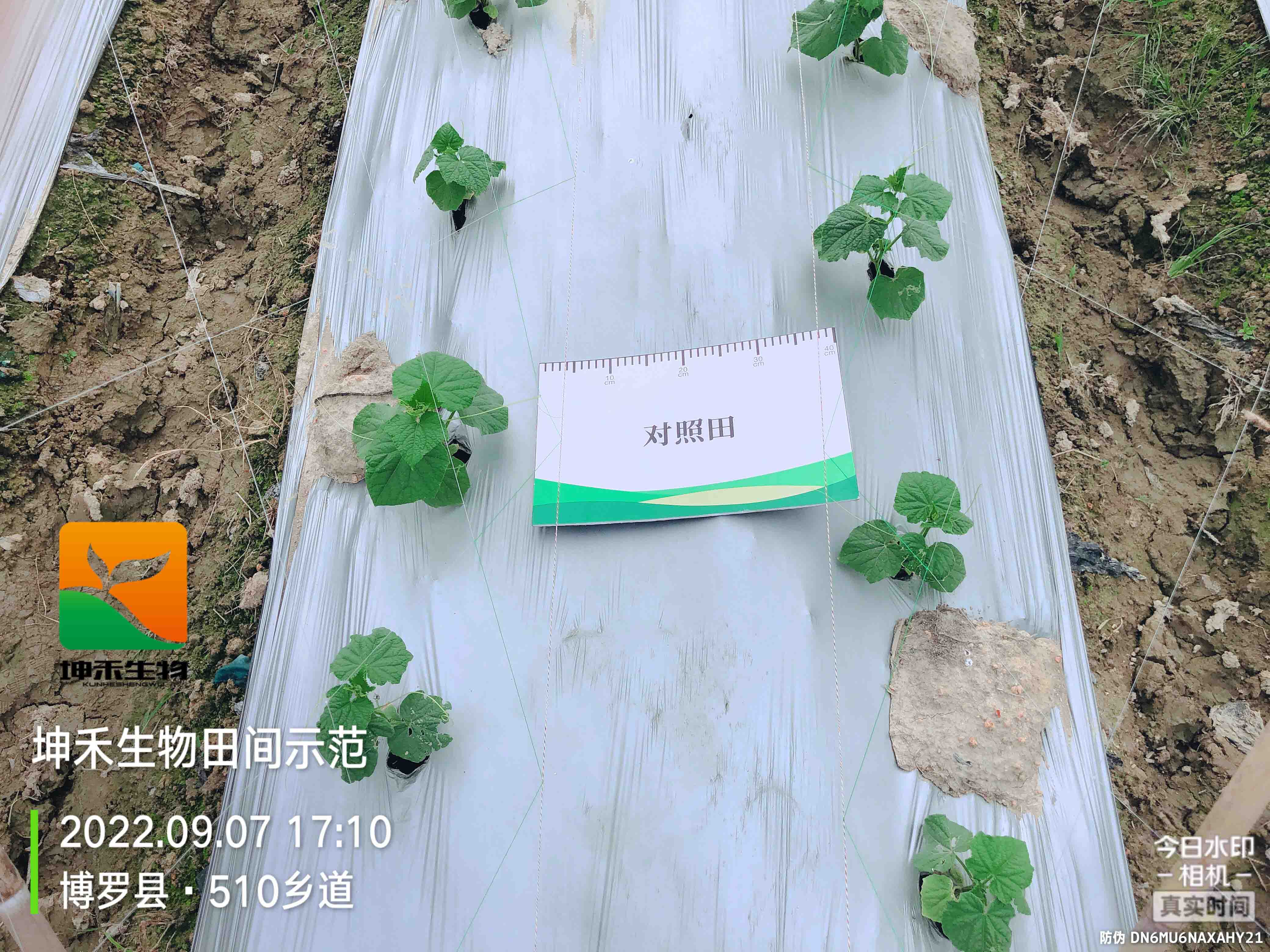 1664507713198259.jpg 微信圖片_202209150949022yasuo.jpg