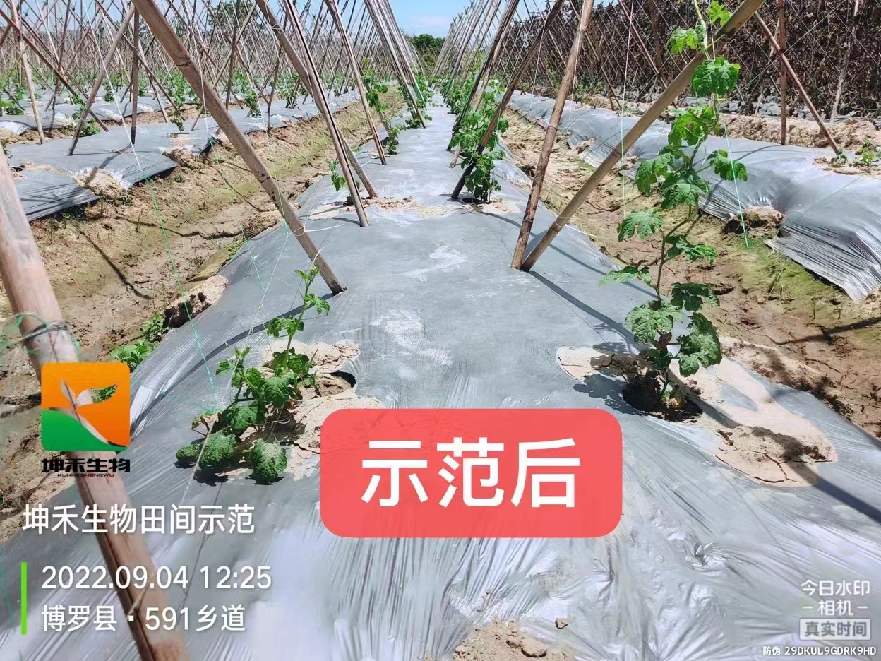 1664507756406141.jpg 微信圖片_202209150949025.jpg