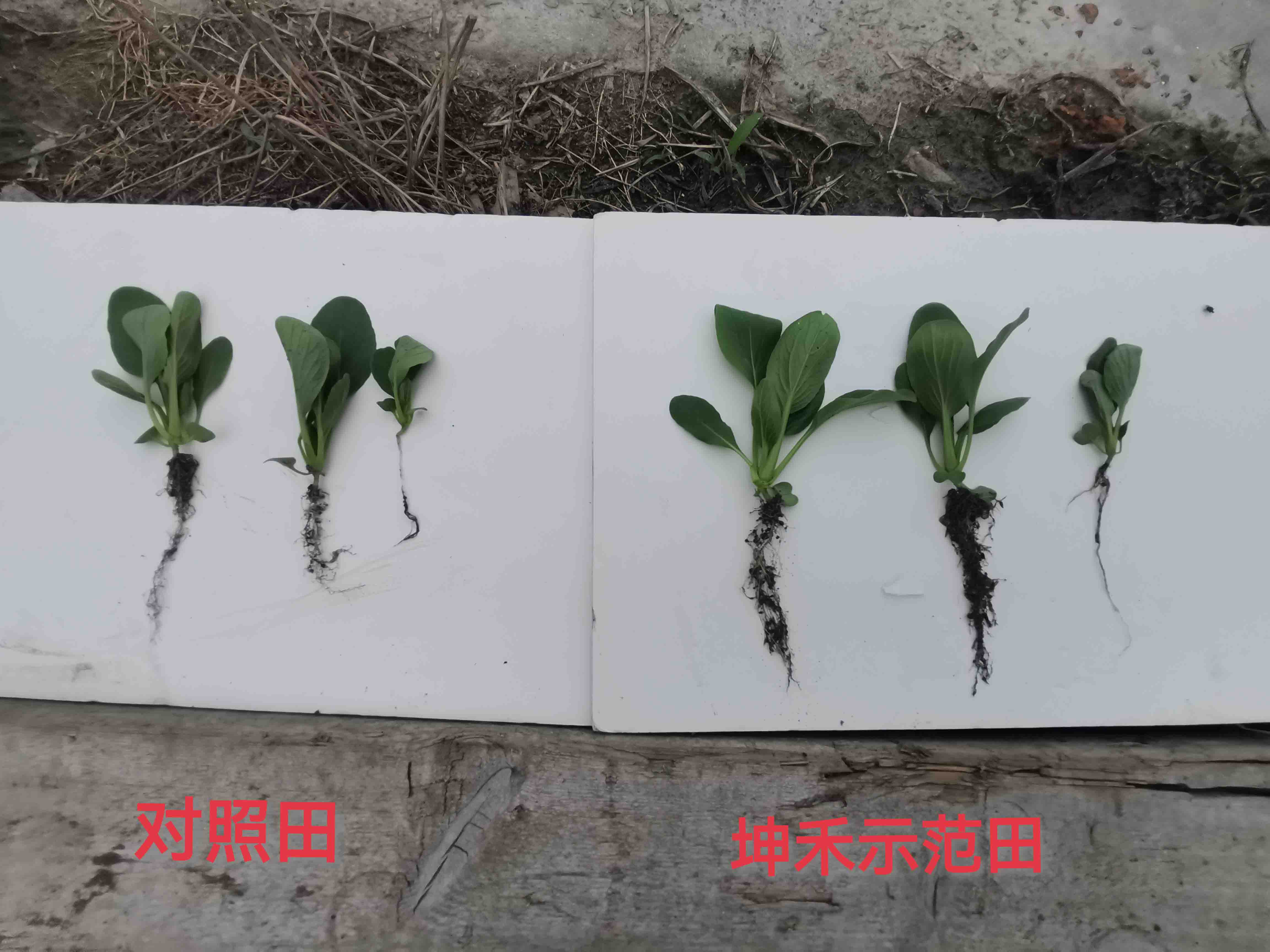 1672885927757845.jpg 微信圖片_202205161102423yasuo.jpg