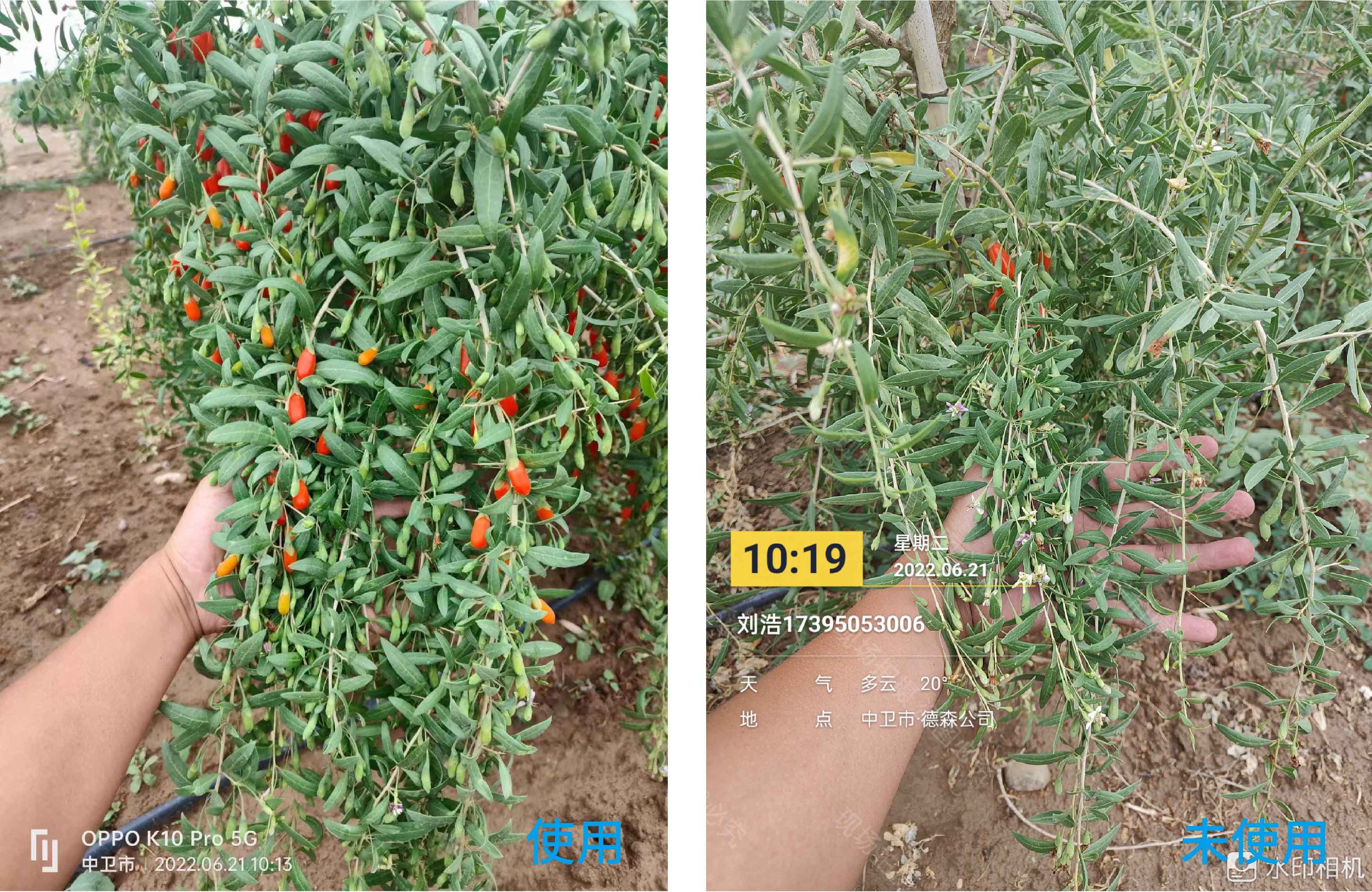 1672886356908181.jpg 未標(biāo)題-1-01.jpg