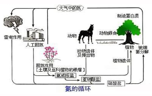 1672886890941942.png 圖片1.png