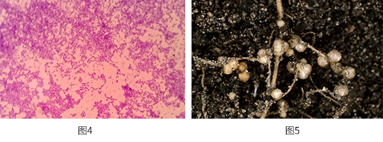 1672886942555100.jpg 圖片4-5.jpg