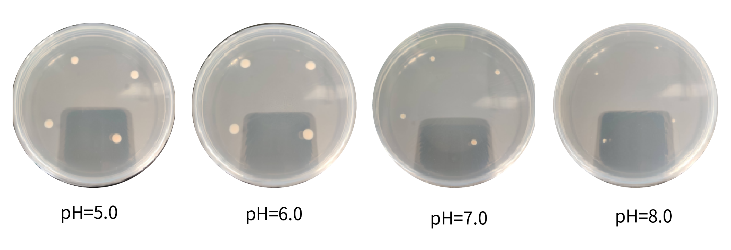 1672890994783790.png 未標(biāo)題-1-01.png