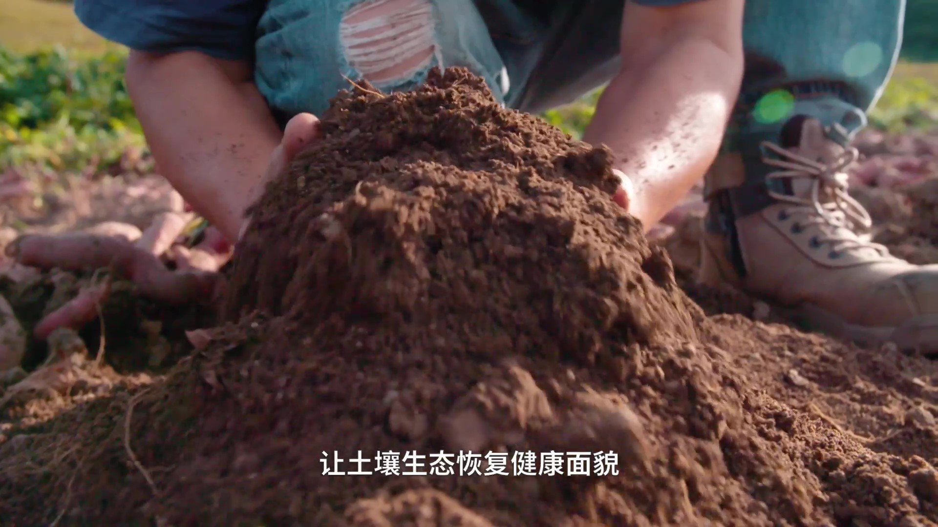 1672893767590071.jpg 坤禾集團(tuán)宣傳片_20211202-定稿(視頻號(hào)) - frame at 6m33s.jpg