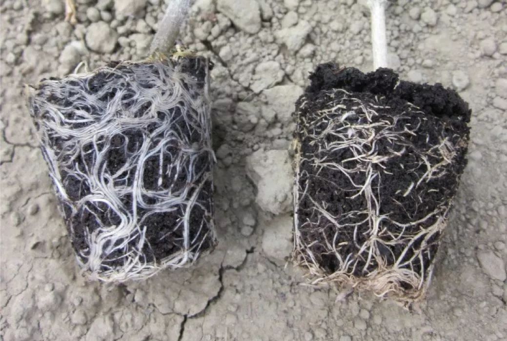 1672895260923281.jpg 2.jpg